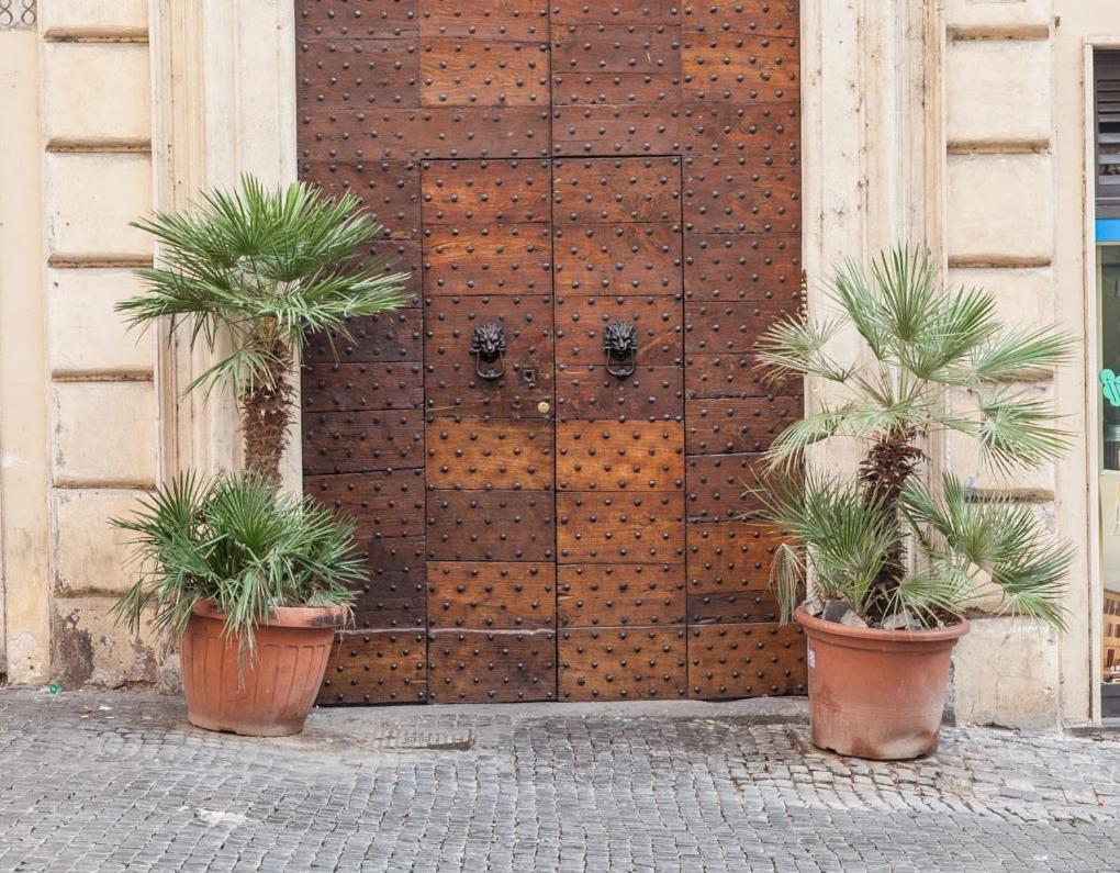 Boutique Domus Navona Librari Villa โรม ภายนอก รูปภาพ